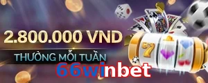 66winbet