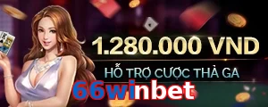 66winbet