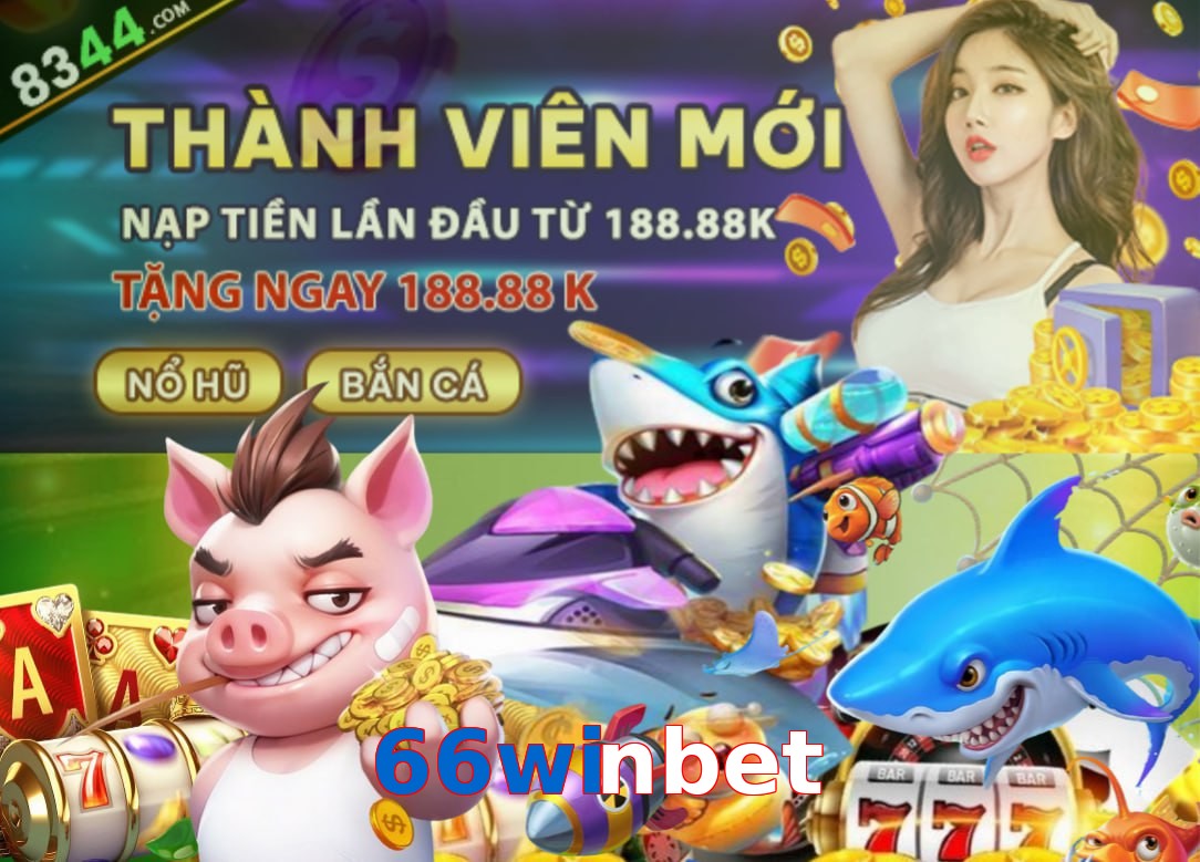 66winbet