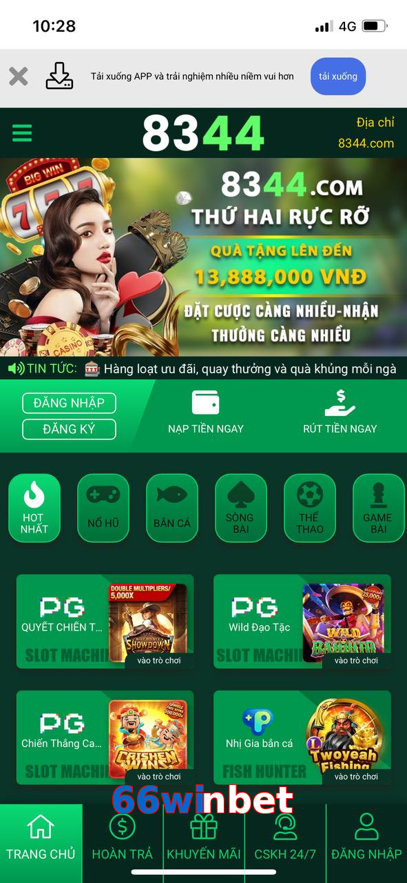 66winbet
