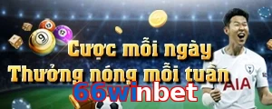 66winbet