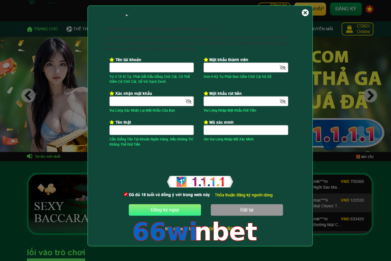 66winbet